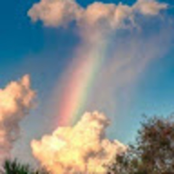 rainbowp54